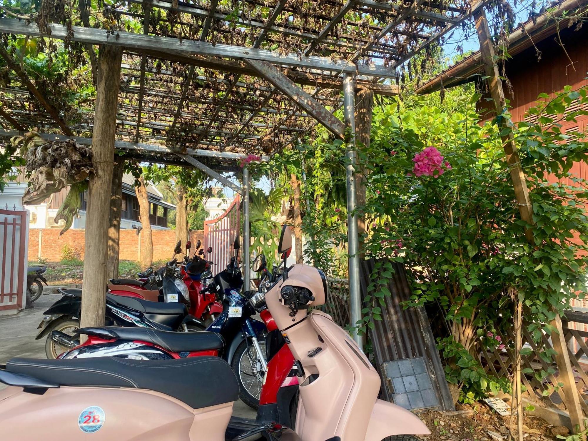 Sunrise Riverside Pool Hostel Λουάνγκ Πραμπάνγκ Εξωτερικό φωτογραφία